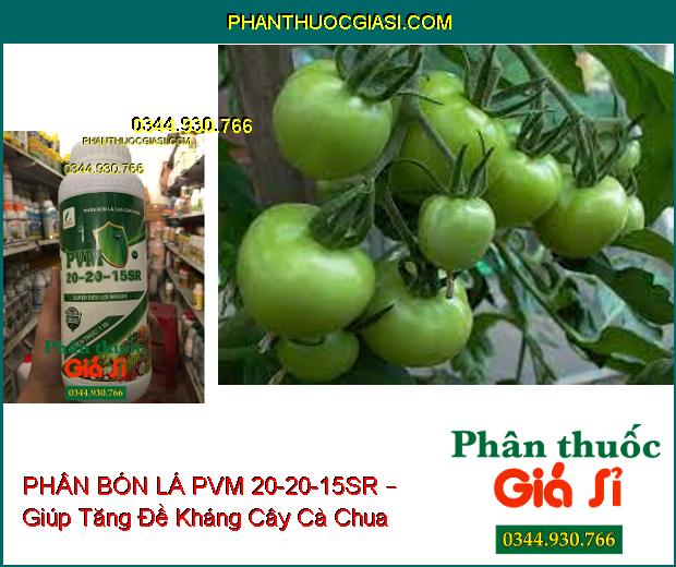 PHÂN BÓN LÁ CAO CẤP PVM 20-20-15SR – Rễ Ra Mạnh- Đâm Chồi Đẻ Nhánh Khỏe- Ra Hoa Đậu Trái Nhiều