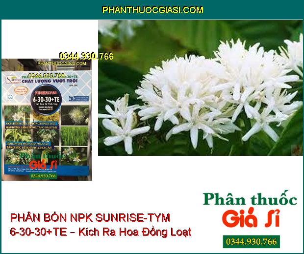 PHÂN BÓN NPK SUNRISE-TYM 6-30-30+TE – Kích Ra Hoa Đồng Loạt- Tăng Đậu Trái- Lớn Trái