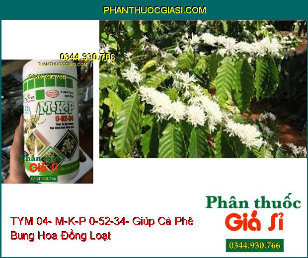 PHÂN BÓN VI LƯỢNG TYM 04- M-K-P 0-52-34- Thúc Lá Già Nhanh- Tạo Mầm Hoa Đồng Loạt- Mầm Hoa Khỏe