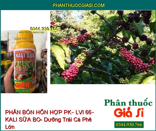 PHÂN BÓN HỖN HỢP PK – LVI 66 – KALI SỮA BO – Sáng Hạt- Chắc Hạt- Chống Rụng- Gia Tăng Phẩm Chất