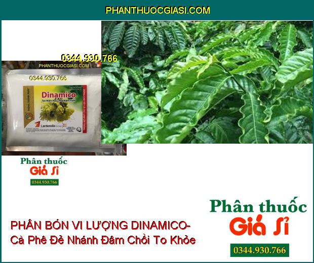 PHÂN BÓN VI LƯỢNG DINAMICO- Tạo Mầm Hoa- Phá Miên Trạng- Kích Rễ Bung Mạnh