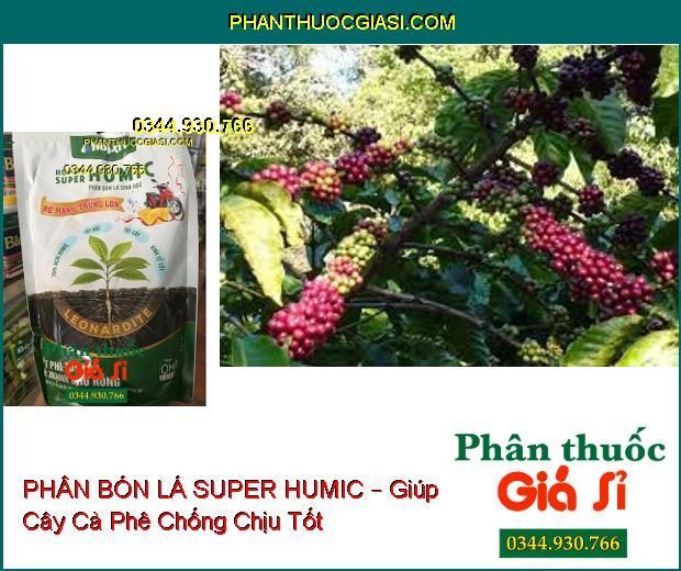 PHÂN BÓN LÁ SINH HỌC SUPER HUMIC – Đất Phì Tơi Xốp- Rễ Mạnh Như Rồng