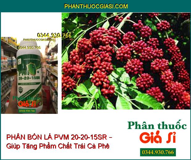 PHÂN BÓN LÁ CAO CẤP PVM 20-20-15SR – Rễ Ra Mạnh- Đâm Chồi Đẻ Nhánh Khỏe- Ra Hoa Đậu Trái Nhiều