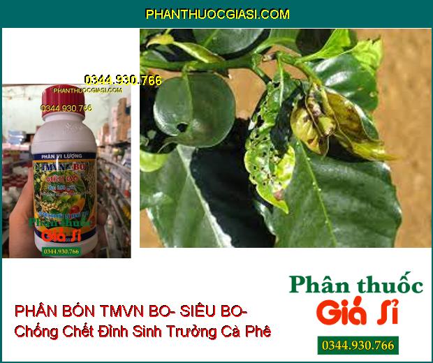 PHÂN BÓN VI LƯỢNG TMVN BO- SIÊU BO- Chống Chết Đỉnh Sinh Trưởng- Bông Khỏe- Trái To