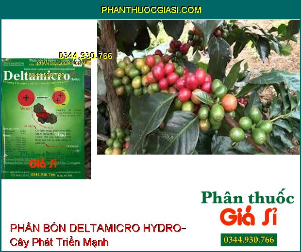 PHÂN BÓN LÁ DELTAMICRO HYDRO– Cung Cấp Vi Lượng Cho Cây Phát Triển Tốt