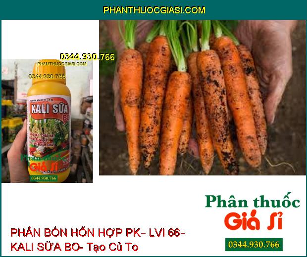 PHÂN BÓN HỖN HỢP PK – LVI 66 – KALI SỮA BO – Sáng Hạt- Chắc Hạt- Chống Rụng- Gia Tăng Phẩm Chất