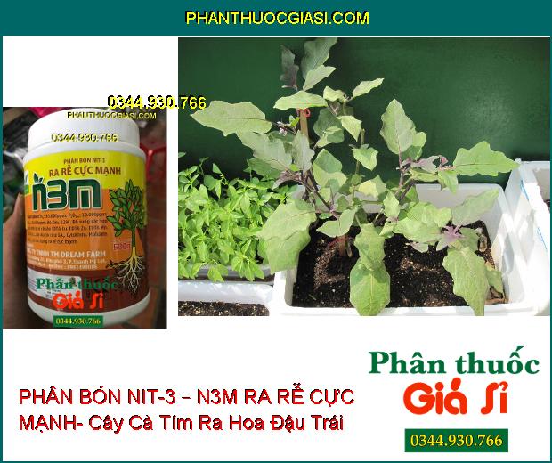 PHÂN BÓN NIT-3 – N3M RA RỄ CỰC MẠNH- Kích Thích Ra Rễ- Chống Rụng Hoa- Tăng Đậu Trái