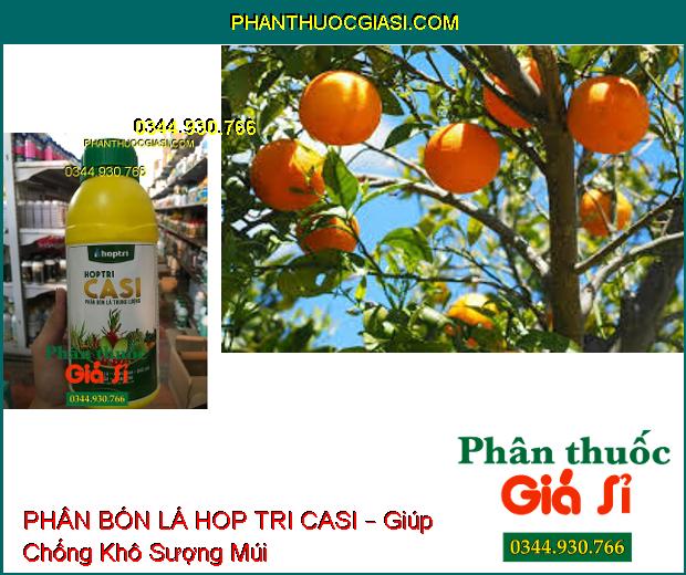 PHÂN BÓN LÁ TRUNG LƯỢNG HOP TRI CASI – Cứng Cây- Xanh Cành- Chắc Quả- Tăng Đề Kháng Sâu Bệnh