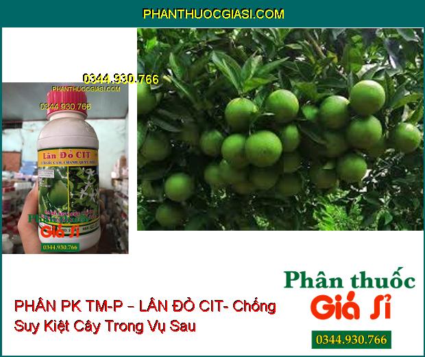 PHÂN PK TM-P – LÂN ĐỎ CIT- Dùng Cho Cây Có Múi- Ra Rễ Non Cực Mạnh- Phân Hóa Mầm Hoa Tối Đa