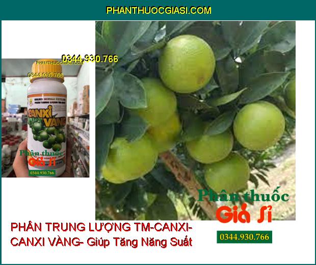 GOLDEN BUFFALO FERTILIZER- PHÂN TRUNG LƯỢNG TM-CANXI- CANXI VÀNG- Tăng Thụ Phấn- Đẹp Trái- Sáng Da