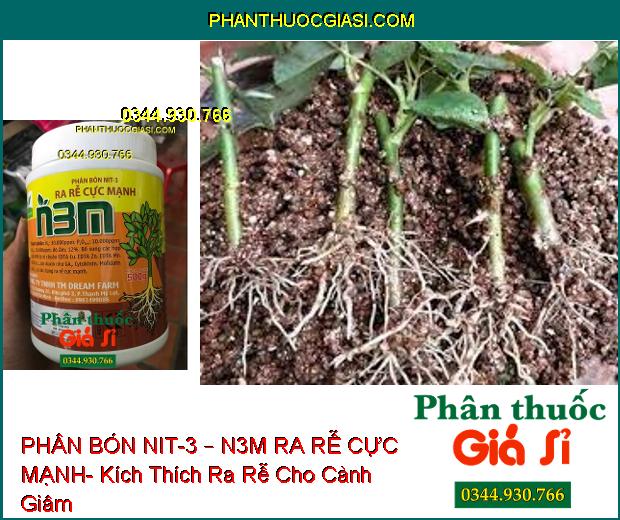 PHÂN BÓN NIT-3 – N3M RA RỄ CỰC MẠNH- Kích Thích Ra Rễ- Chống Rụng Hoa- Tăng Đậu Trái