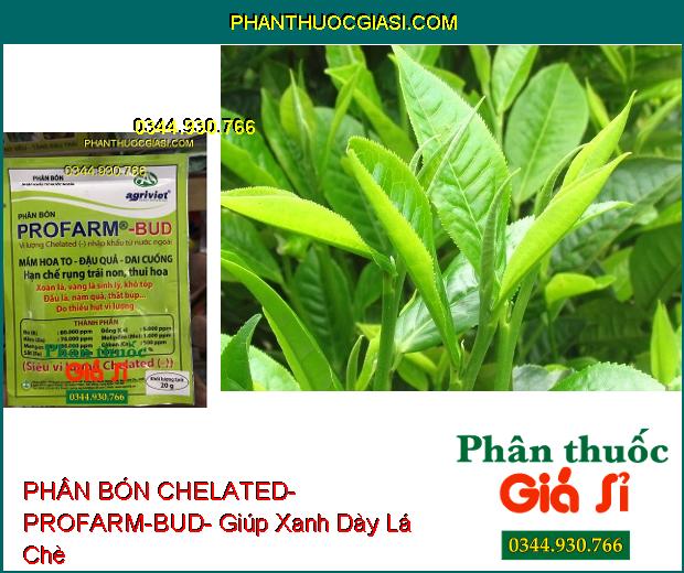 PHÂN BÓN VI LƯỢNG CHELATED- PROFARM-BUD- Mầm Hoa To- Đậu Trái- Dai Cuống- Chống Xoăn Vàng Lá