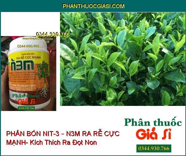 PHÂN BÓN NIT-3 – N3M RA RỄ CỰC MẠNH- Kích Thích Ra Rễ- Chống Rụng Hoa- Tăng Đậu Trái