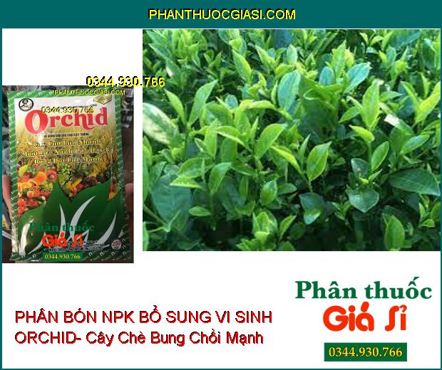 PHÂN BÓN NPK BỔ SUNG VI SINH ORCHID- Cây Con Lớn Nhanh- Mướt Lá- Xanh Lá- Dày Lá- Bung Đọt Cực Mạnh