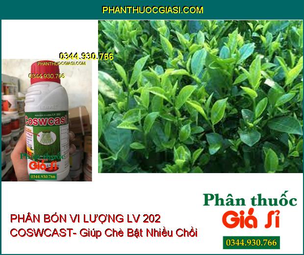 PHÂN BÓN VI LƯỢNG LV 202 COSWCAST- Giải Độc- Bung Rễ- Cứng Cây- Ra Hoa Nhiều