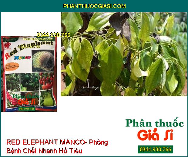 RED ELEPHANT MANCO- Đặc Trị Nứt Thân Xì Mủ- Bệnh Chết Nhanh- Thán Thư- Thối Trái