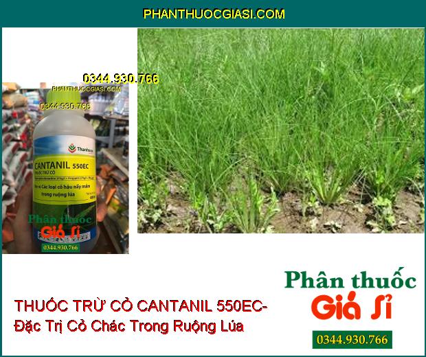 THUỐC TRỪ CỎ CANTANIL 550EC- Đặc Trị Các Loại Cỏ Hậu Nảy Mầm Trong Ruộng Lúa