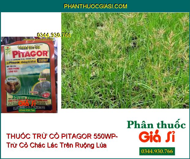 THUỐC TRỪ CỎ PITAGOR 550WP- Trừ Các Loại Cỏ Trên Ruộng Lúa- Cỏ Khó Trị