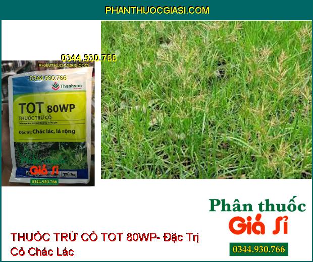 THUỐC TRỪ CỎ TOT 80WP- Đặc Trị Cỏ Hậu Nảy Mầm Sớm- Cỏ Chác Lác- Cỏ Lá Rộng