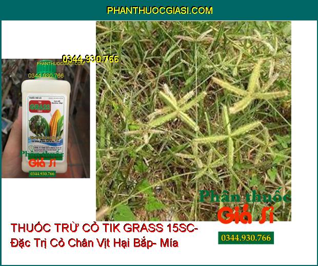 THUỐC TRỪ CỎ TIK GRASS 15SC- Đặc Trị Cỏ Dại Hại Bắp- Mía