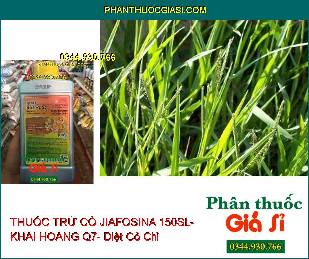 THUỐC TRỪ CỎ JIAFOSINA 150SL- KHAI HOANG Q7- Diệt Cỏ Lá Rộng Và Lá Hẹp- Cỏ Hằng Niên Và Đa Niên