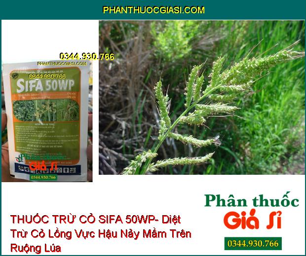 THUỐC TRỪ CỎ SIFA 50WP- Diệt Trừ Các Loại Cỏ Hậu Nảy Mầm Trên Ruộng Lúa