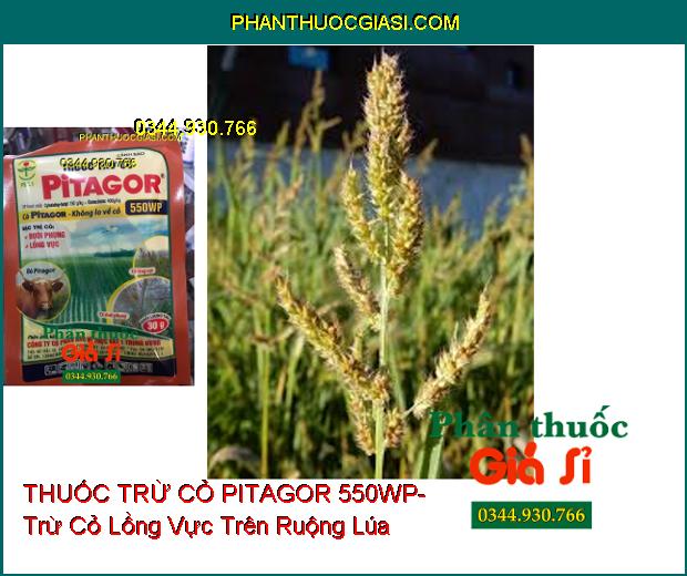 THUỐC TRỪ CỎ PITAGOR 550WP- Trừ Các Loại Cỏ Trên Ruộng Lúa- Cỏ Khó Trị