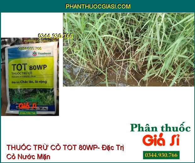 THUỐC TRỪ CỎ TOT 80WP- Đặc Trị Cỏ Hậu Nảy Mầm Sớm- Cỏ Chác Lác- Cỏ Lá Rộng