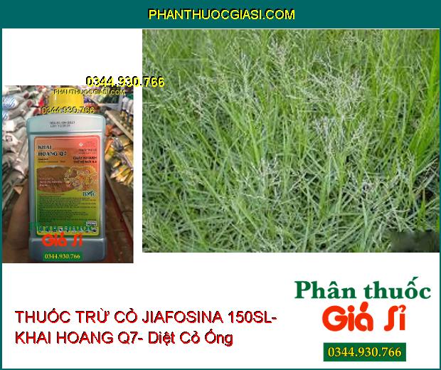 THUỐC TRỪ CỎ JIAFOSINA 150SL- KHAI HOANG Q7- Diệt Cỏ Lá Rộng Và Lá Hẹp- Cỏ Hằng Niên Và Đa Niên