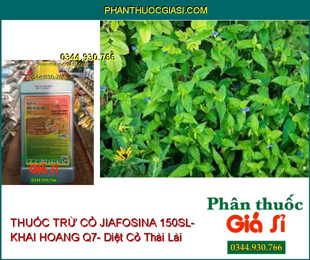 THUỐC TRỪ CỎ JIAFOSINA 150SL- KHAI HOANG Q7- Diệt Cỏ Lá Rộng Và Lá Hẹp- Cỏ Hằng Niên Và Đa Niên