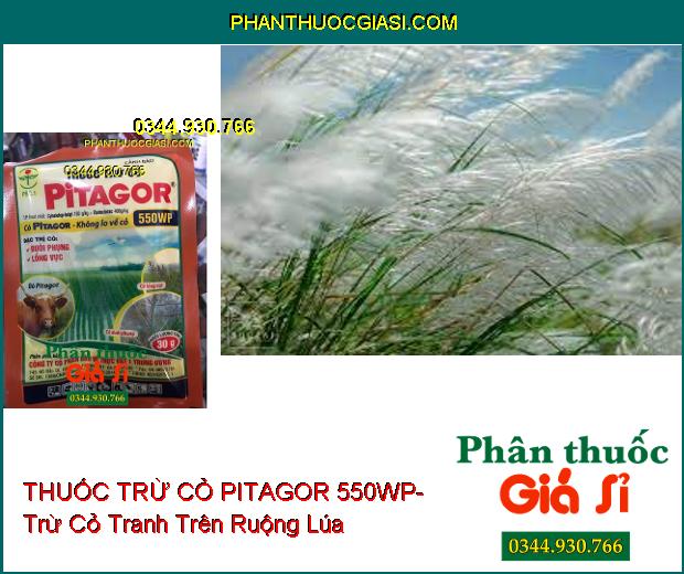 THUỐC TRỪ CỎ PITAGOR 550WP- Trừ Các Loại Cỏ Trên Ruộng Lúa- Cỏ Khó Trị