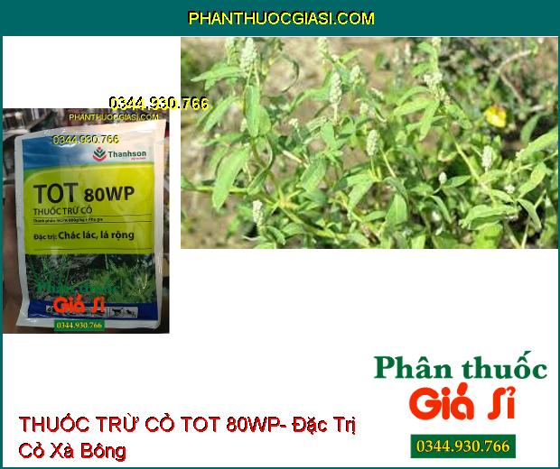 THUỐC TRỪ CỎ TOT 80WP- Đặc Trị Cỏ Hậu Nảy Mầm Sớm- Cỏ Chác Lác- Cỏ Lá Rộng