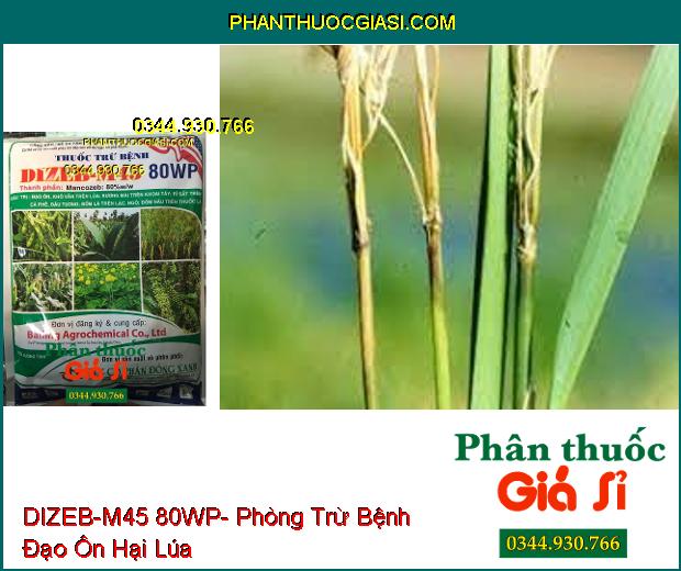 THUỐC TRỪ BỆNH DIZEB-M45 80WP-