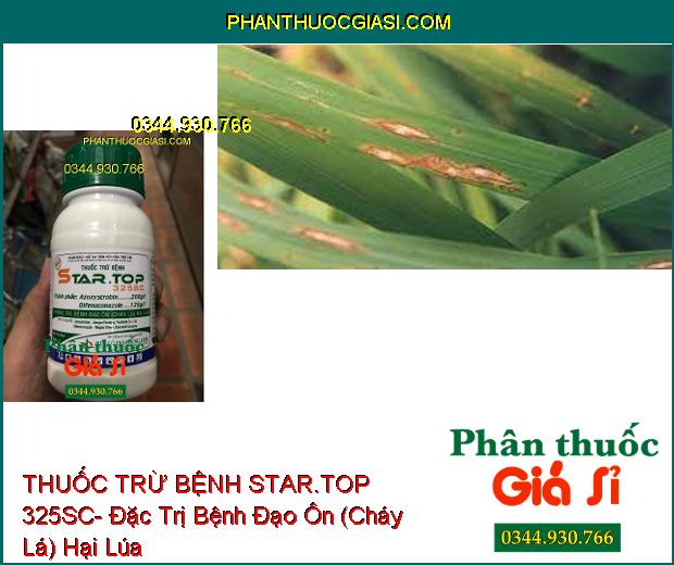 THUỐC TRỪ BỆNH STAR.TOP 325SC- Đặc Trị Bệnh Đạo Ôn (Cháy Lá) Hại Lúa