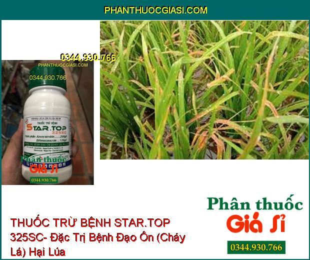 THUỐC TRỪ BỆNH STAR.TOP 325SC- Đặc Trị Bệnh Đạo Ôn (Cháy Lá) Hại Lúa