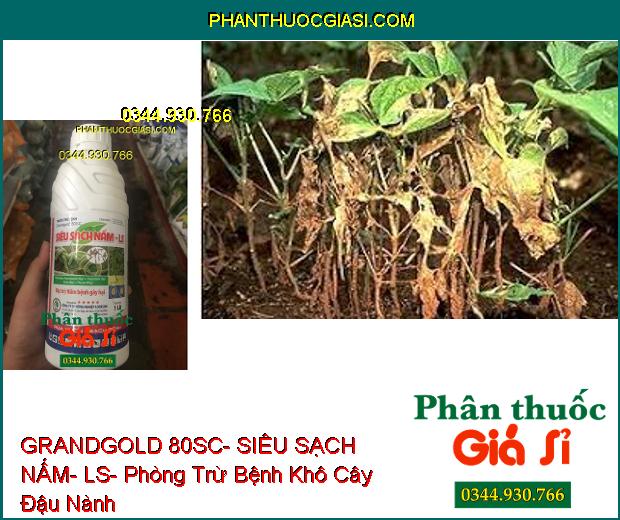 THUỐC TRỪ BỆNH GRANDGOLD 80SC- SIÊU SẠCH NẤM- LS- Phòng Trừ Các Bệnh Do Nấm Gây Ra