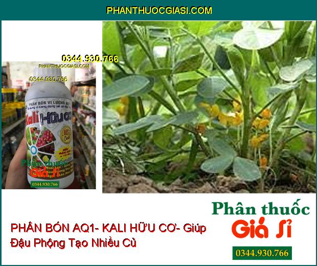 PHÂN BÓN VI LƯỢNG AQ1- KALI HỮU CƠ – Xanh Cây- Chống Rụng Trái- To Trái- Tăng Hương Vị