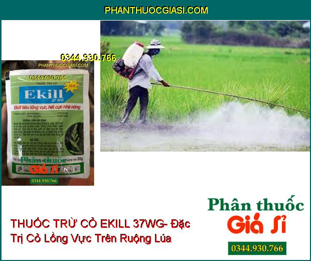 THUỐC TRỪ CỎ EKILL 37WG- Đặc Trị Cỏ Lồng Vực (Cỏ Gạo) Trên Ruộng Lúa