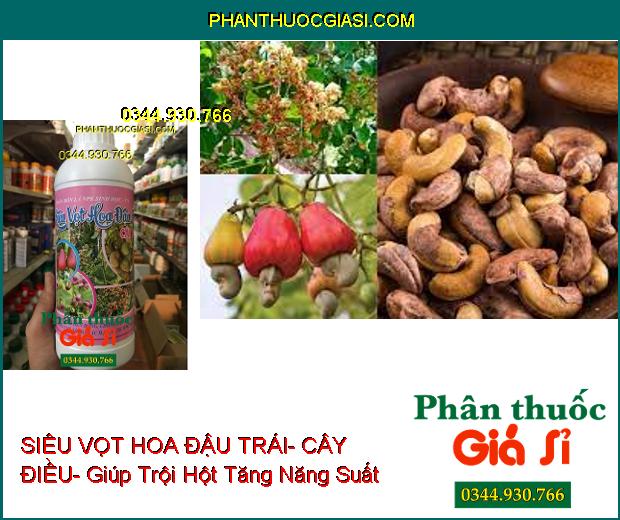 PHÂN BÓN LÁ NPK SIÊU VỌT HOA ĐẬU TRÁI- CÂY ĐIỀU- Chống Khô Đen Bông- Tốt Trái- Trội Hột