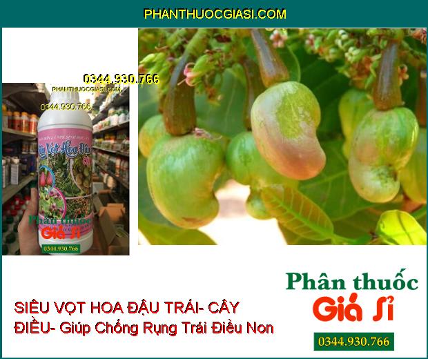 PHÂN BÓN LÁ NPK SIÊU VỌT HOA ĐẬU TRÁI- CÂY ĐIỀU- Chống Khô Đen Bông- Tốt Trái- Trội Hột