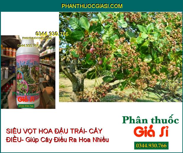 PHÂN BÓN LÁ NPK SIÊU VỌT HOA ĐẬU TRÁI- CÂY ĐIỀU- Chống Khô Đen Bông- Tốt Trái- Trội Hột