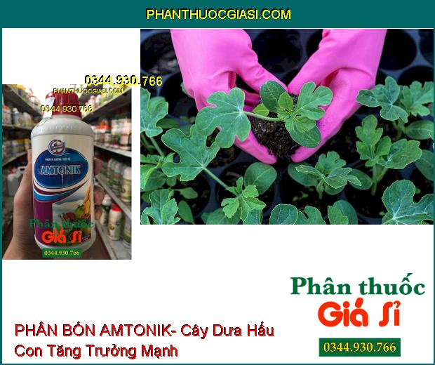 PHÂN BÓN VI LƯỢNG TƯỚI RỄ AMTONIK- Cây Tăng Trưởng Mạnh- Ra Rễ Nảy Mầm- Đâm Chồi Mạnh