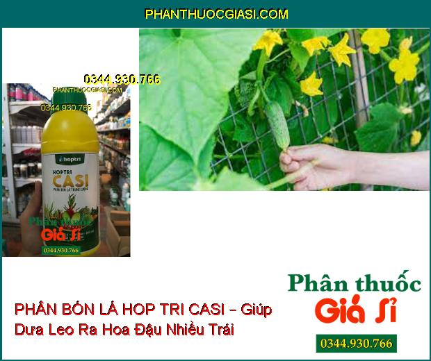 PHÂN BÓN LÁ TRUNG LƯỢNG HOP TRI CASI – Cứng Cây- Xanh Cành- Chắc Quả- Tăng Đề Kháng Sâu Bệnh