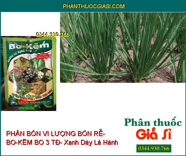 PHÂN BÓN VI LƯỢNG BÓN RỄ- BO-KẼM BO 3 TĐ- Xanh Dày Lá- Chống Rụng Hoa- Nuôi Trái Non