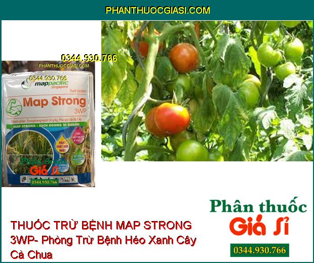 THUỐC TRỪ BỆNH MAP STRONG 3WP- Đặc Trị Bệnh Bạc Lá- Héo Xanh Do Vi Khuẩn