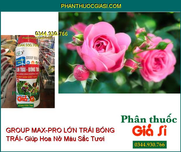 PHÂN BÓN VI LƯỢNG GROUP MAX-PRO LỚN TRÁI BÓNG TRÁI- Ra Hoa Mạnh- Trái To- Nặng Ký