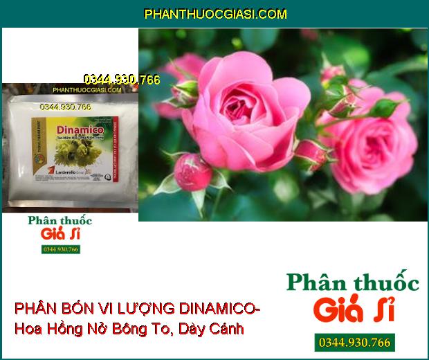 PHÂN BÓN VI LƯỢNG DINAMICO- Tạo Mầm Hoa- Phá Miên Trạng- Kích Rễ Bung Mạnh