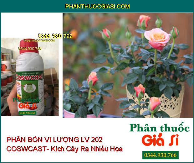 PHÂN BÓN VI LƯỢNG LV 202 COSWCAST- Giải Độc- Bung Rễ- Cứng Cây- Ra Hoa Nhiều