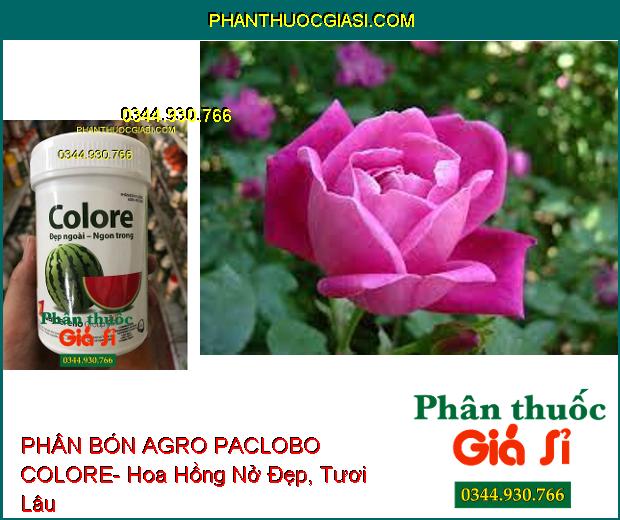 PHÂN BÓN VI LƯỢNG AGRO PACLOBO COLORE- Tăng Phẩm Chất Trái- Tăng Hương Vị