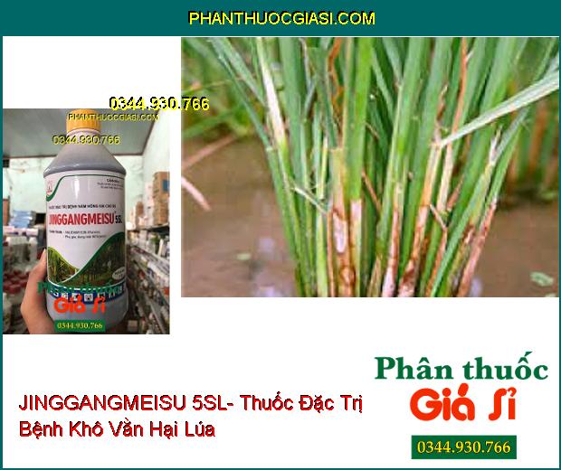 JINGGANGMEISU 5SL- Thuốc Đặc Trị Bệnh Nấm Hồng Hại Cao Su- Bệnh Khô Vằn Trên Lúa